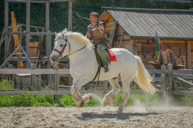 Выставка лошадей в Парк Киевская Русь