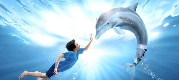 История дельфина. Фильмы для детей