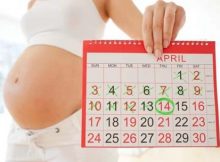 как рассчитать дату родов