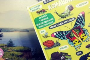 комашки