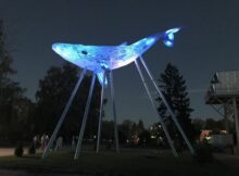 київський кит